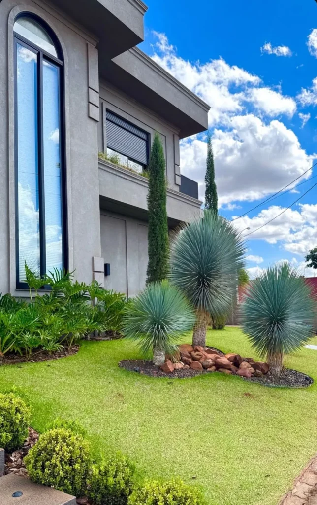 WhatsApp Image 2025-12-19 at 23.10.12_31_11zon