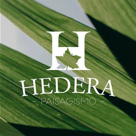 Hedera Paisagismo